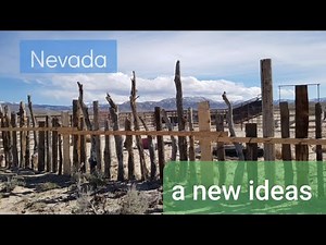 How's this for creative dog training? - from Haley Hunewill