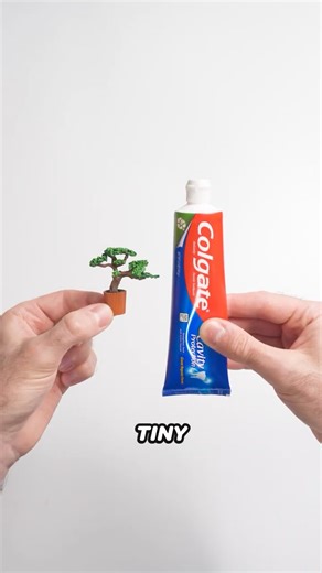 I Made a Tree out of old Toothpaste
