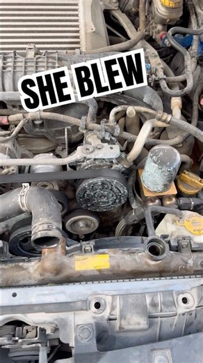 Radiator Blew
