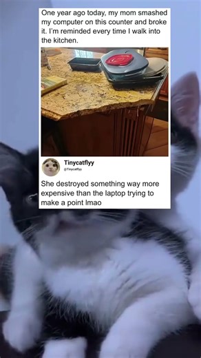 the laptop trying to make a point Imao