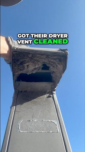 Dryer Vent Nightmare: 5 Years of Lint & a Lizard?! #dryer