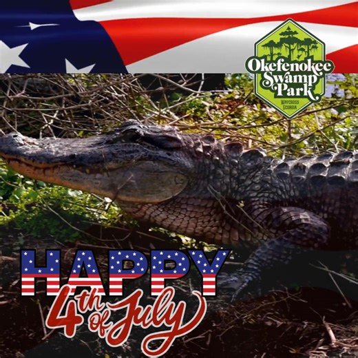 Happy Independence Day from Okefenokee Swamp Park! | Okefenokee Swamp Park