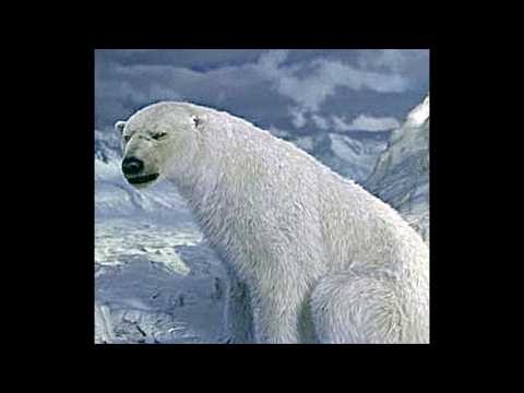 The Golden Compass: Iorek Byrnison (2007) (With Picture) (3)