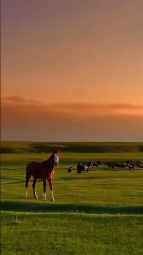 National geography live stream // natural geography #youtubeshorts #nature