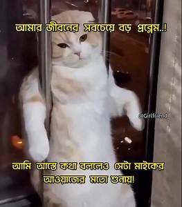 212K views · 4.4K reactions | Hmm﫤﫤﫤 | Girlfriend | Facebook