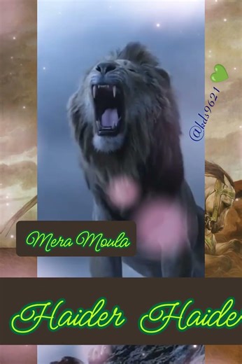Mera Maula Haider Haider🐩🦾⚔💚🕋🕌#ali#haider#haidermola #wiladatimamali#whatsappstatus#viralvideo#maula