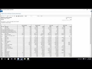 Microsoft Dynamics NAV - Balanta de verificare a sumei precedente si anuale