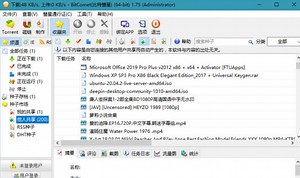 BT下载软件 BitComet(比特彗星) v2.07 解锁全功能豪华版