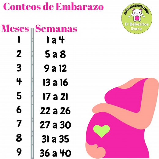 Guía de Conversión de Semanas a Meses de Embarazo