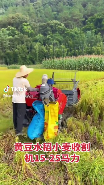 #soybeans #farmmachinery #rice #harvest #farming