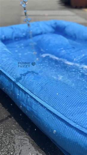  These dog beds & stairs are so revolutionary, your pup might start charging you rent!  Waterproof, orthopedic, space-saving—because spoiled royalty deserves a throne (or five).  | FUNNYFUZZY | Facebook