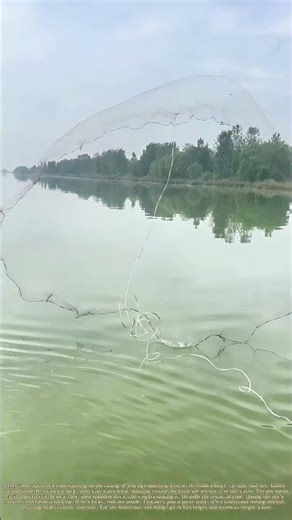 Casting the Net: How a Man on a Bridge Hurls a Web Into the River