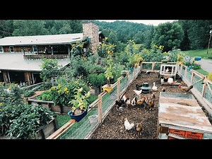 Our 10-Acre Survival Homestead (2020 PROOF)