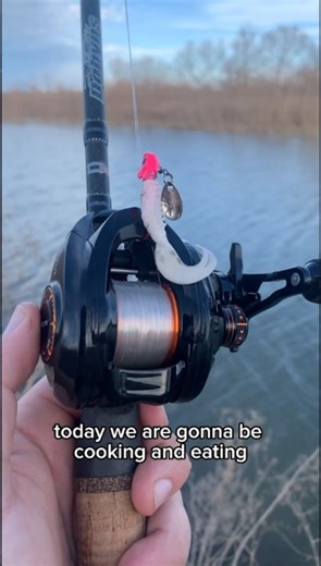 First catch and cook | White bass from the creek