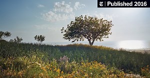 The Moroccan Garden of One Man’s Dreams (Published 2016)