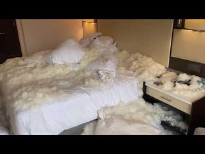 Pillow Fight: The feathery aftermath