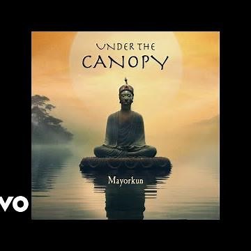 Mayorkun - Under The Canopy (Official Audio)