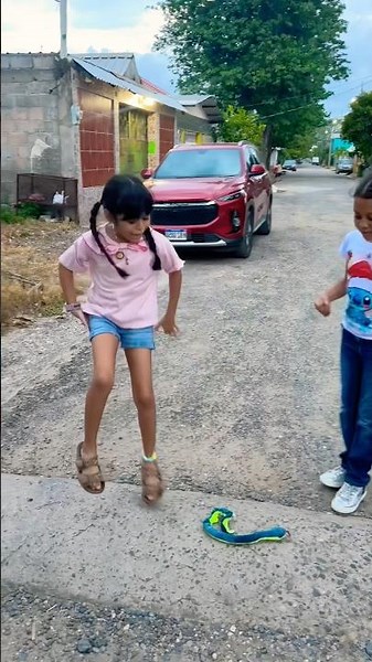 Una serpiente 🐍😱😱 #shorts #video #youtubeshorts #comedy