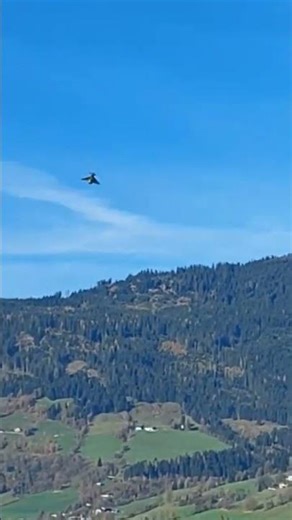 Start Eurofighter #modellflug #hangflug #hangglider #rcglider #rcplane