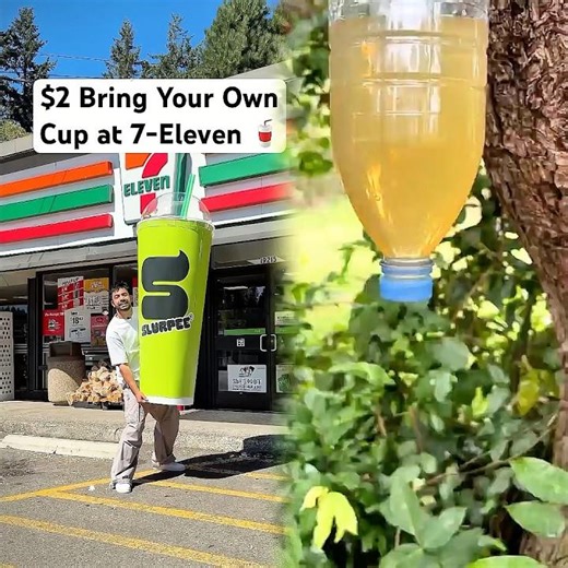 7-Eleven has $2 bring your own cup so I made a massive cup of slurpee 🥤