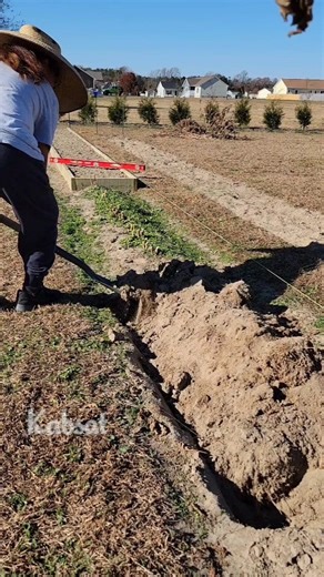 Garden project DIY - tips and ideas installing garden bed and how to start backyard garden #gardenideas #diyprojects #gardeningtips #raisedbedgarden #DIY #garden | Kabsat