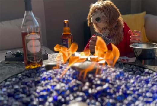 All In with HPC Fire Inspired! 🔥 HPCFire.com Fire Pits, Tiki Torches, Pizza Ovens and more in stock and ready to ship!