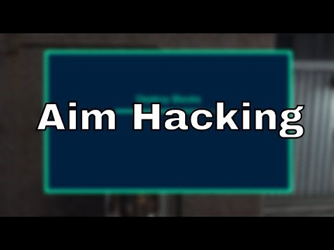 Aim Training Hacking Fivem