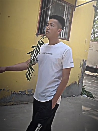 Funny Goat Memes and Videos Collection