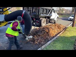 One of the biggest leaf vacuum they make! Satisfying suction