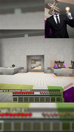 Gizmo #minecraft #gaming #minecraftgameplay#funny