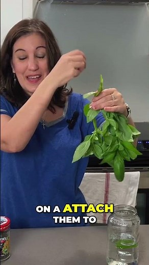 How to Dehydrate Herbs Without a Dehydrator: Easy DIY Method