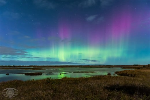 The best places to see the northern lights in Canada - The Weather Network