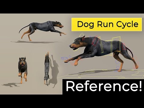 Dog Run Cycle: Animation Reference