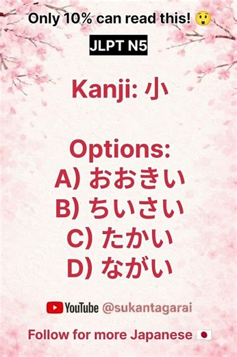 JLPT N5 Kanji Quiz 🇯🇵 | Can You Answer All Correctly? 🤔