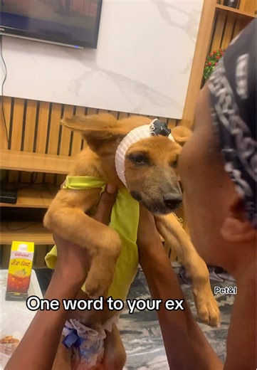 A Message to Your Ex in One Word