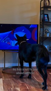 29K views · 838 reactions | He says help momma! #fyp | Bosco and the fam | Facebook