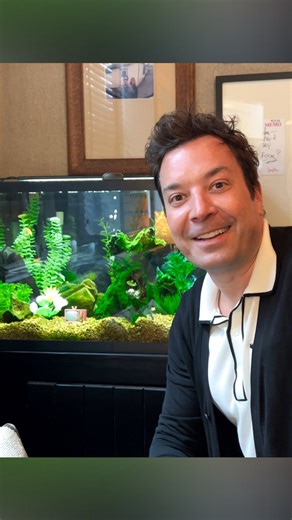 Jimmy Fallon | New random summer project just dropped: I’m renovating my fish tank at @fallontonight. This fish tank needs SOMETHING. Striped shrimp?... | Instagram