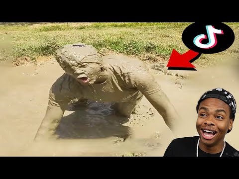 I Laughed Way Too Hard at these Funny Tiktoks.