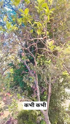 Kya Hum Badal Gaye Hain 🙏 #change #motivation