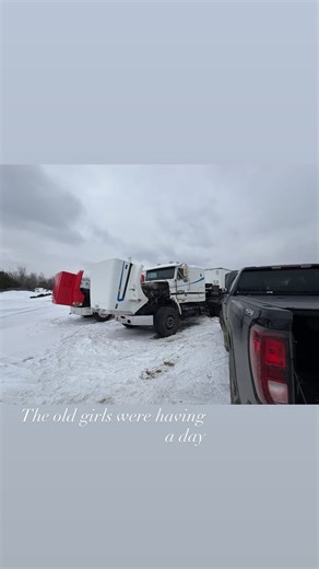 Lytle Transport Ltd on Reels