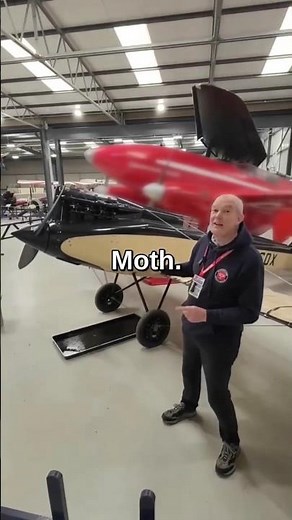 The Forgotten Tiger Moth Before the Tiger Moth #short #vintageaircraft