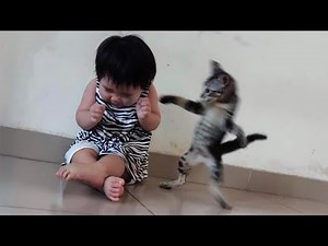 The Most Dramatic Kittens Moments Ever! 😂🤣 Funny Cat Videos 2026