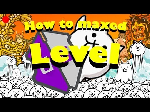 Battle Cats - How to maxed out level