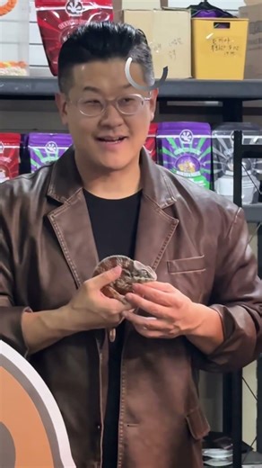 친절한 직원 따라했는데… 왜 이러죠? #렙타일페어 #파충류박람회 #울산가볼만한곳