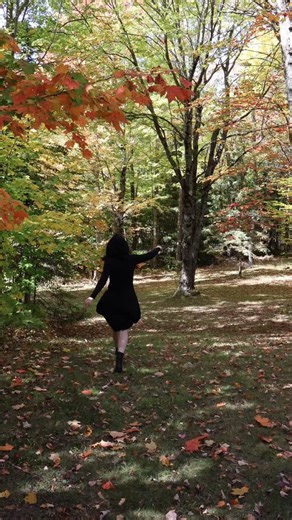 Blabs on Instagram: "Bellatrix on her way out of Azkaban. #throwback #fall"