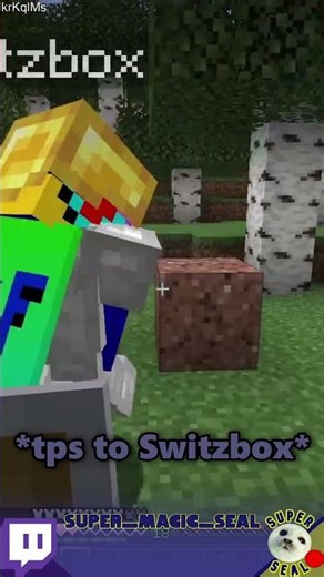 Seal SMP Livestream Funny Moments!! #minecraft #dreamsmp #twitch #mcyt #dream #funny #memes #gaming