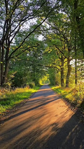 Vidéos de Oyama (@oyam95) avec original sound - Best Music Lyrics