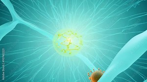 Understanding the intricate structures of cells and their interactions in biological systems