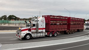 Kenworth hauling livestock B Double #kenworth #roadtrain #bigrig #bigrigs