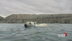 Shell gives up rights to drill in Canadian Arctic conservation area